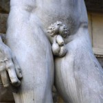 12 Facts You Never Knew About The Human Penis!